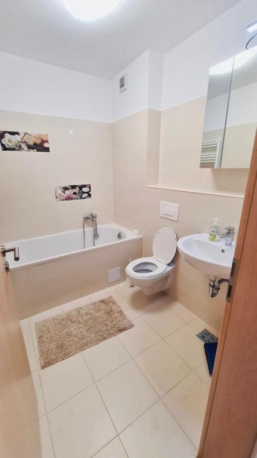 Appartement Bacovia Cazare Coresi à Braşov Extérieur photo