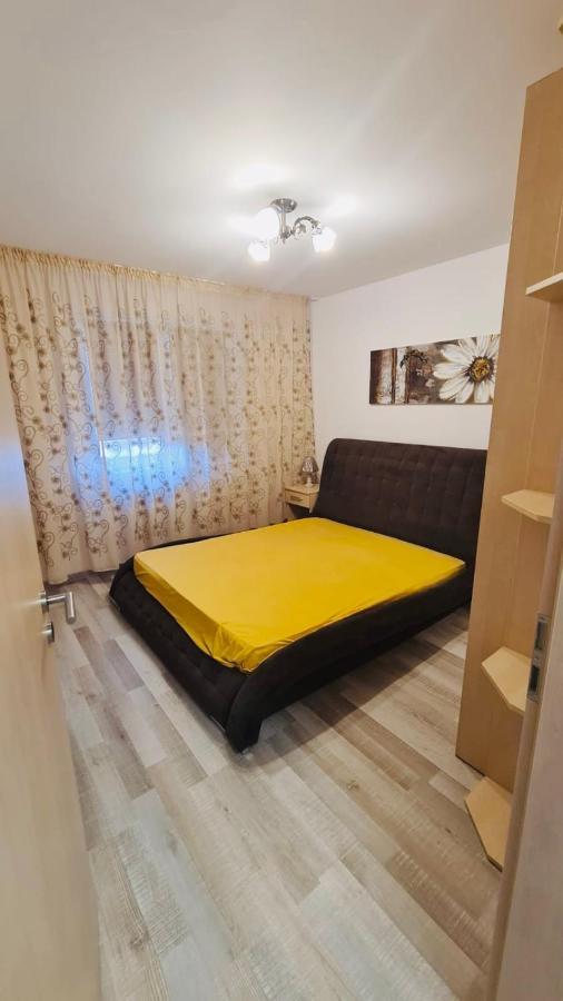 Appartement Bacovia Cazare Coresi à Braşov Extérieur photo